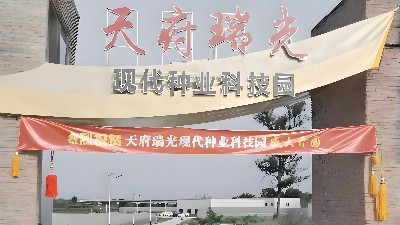 四川天府瑞光（種都高科）農(nóng)業(yè)科技園弱電工程項目
